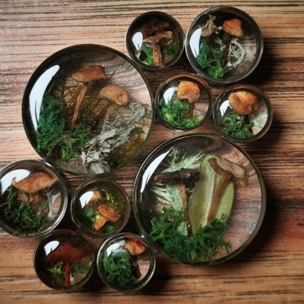Mushroom plugs